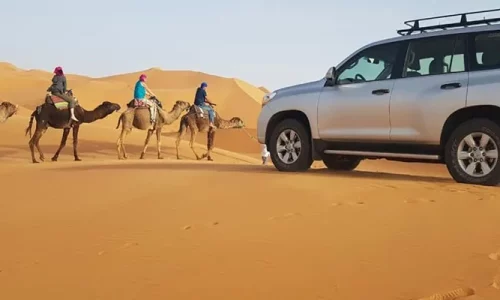 imgi_20_7271d896438dc6d1a302149d21ee46c1222475ac